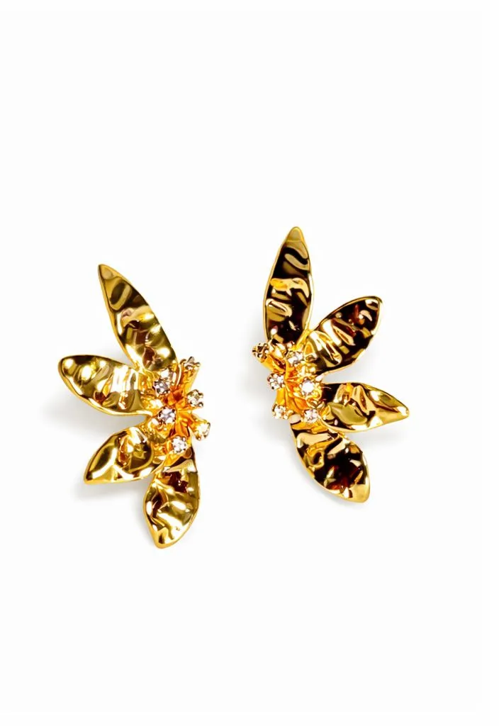 WhatsApp Image 2026-01-08 at 12.01.57.webp